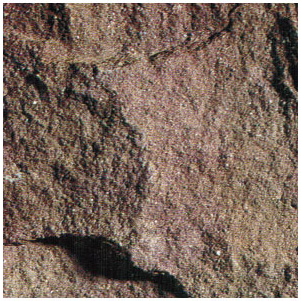 S006A